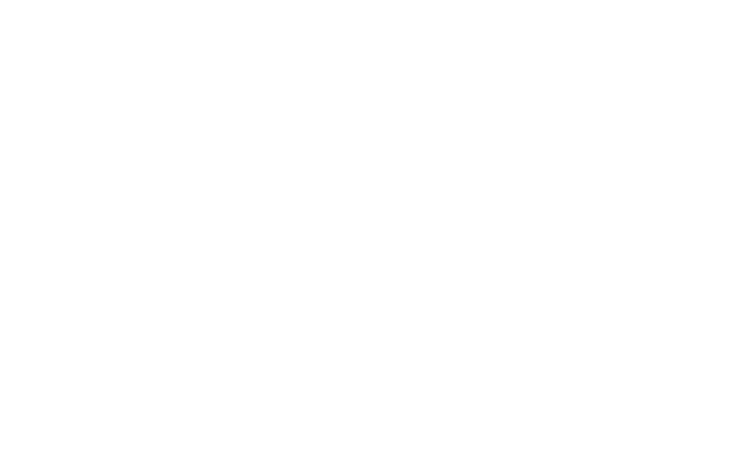 BCM SOLUTION SRL